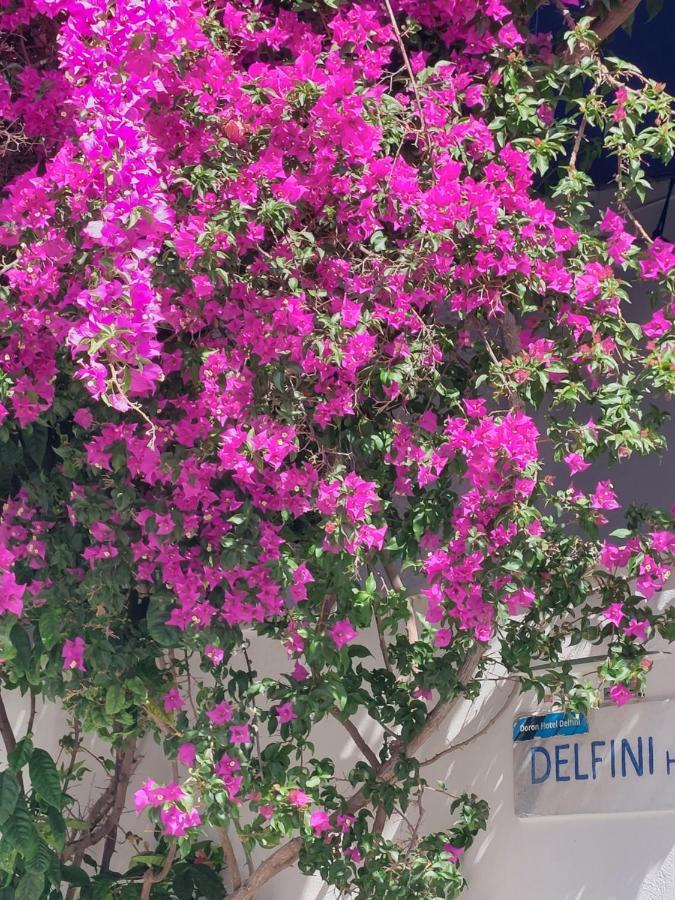 Doron Hotel Delfini Naxos City Exterior foto
