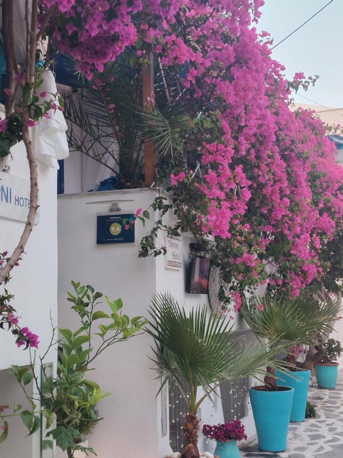 Doron Hotel Delfini Naxos City Exterior foto