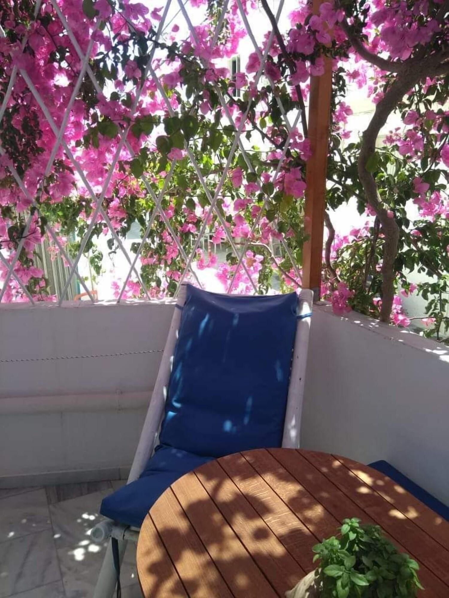 Doron Hotel Delfini Naxos City Exterior foto