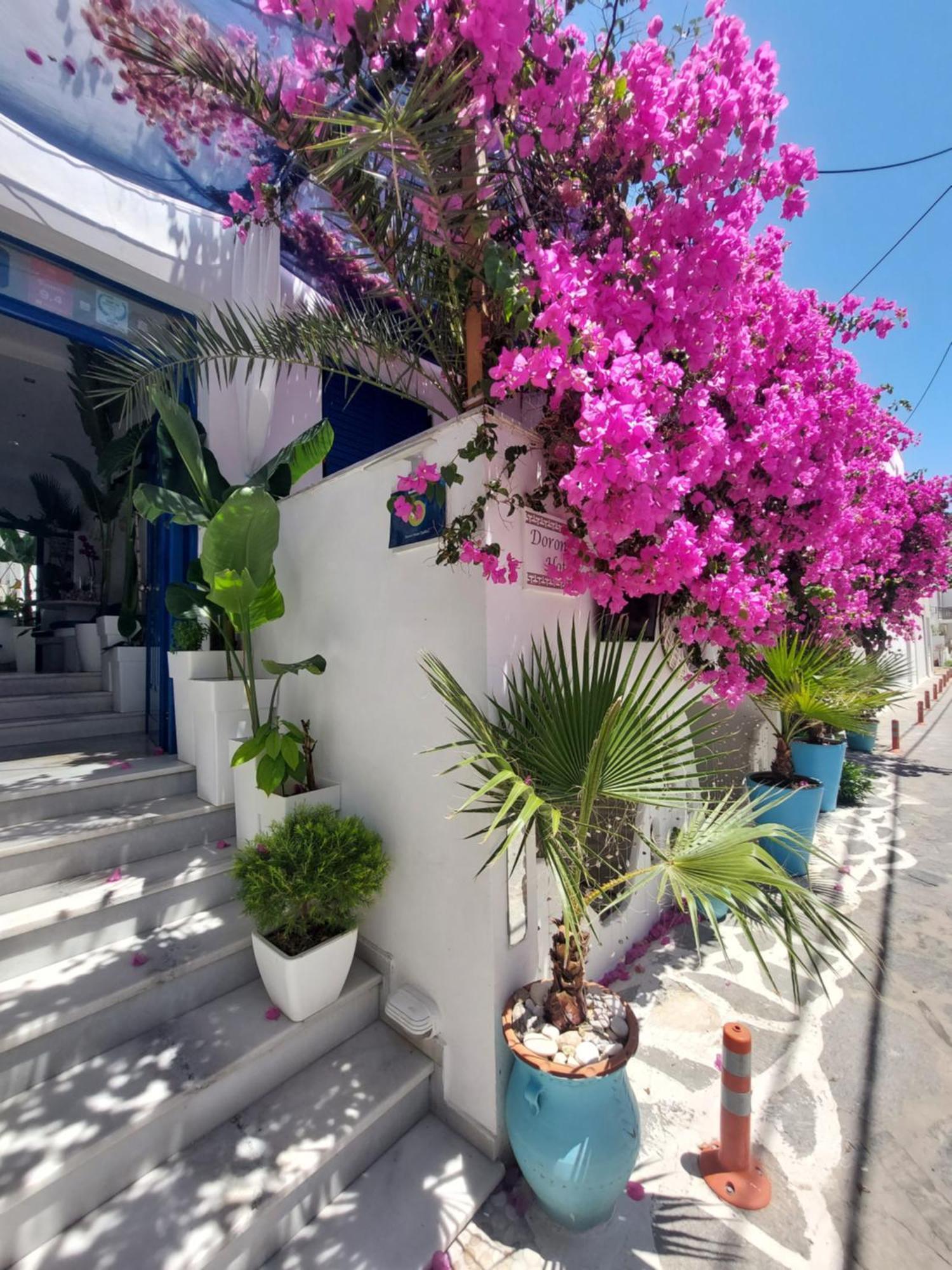 Doron Hotel Delfini Naxos City Exterior foto