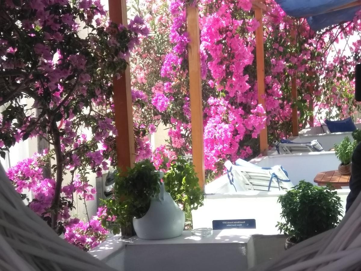 Doron Hotel Delfini Naxos City Exterior foto