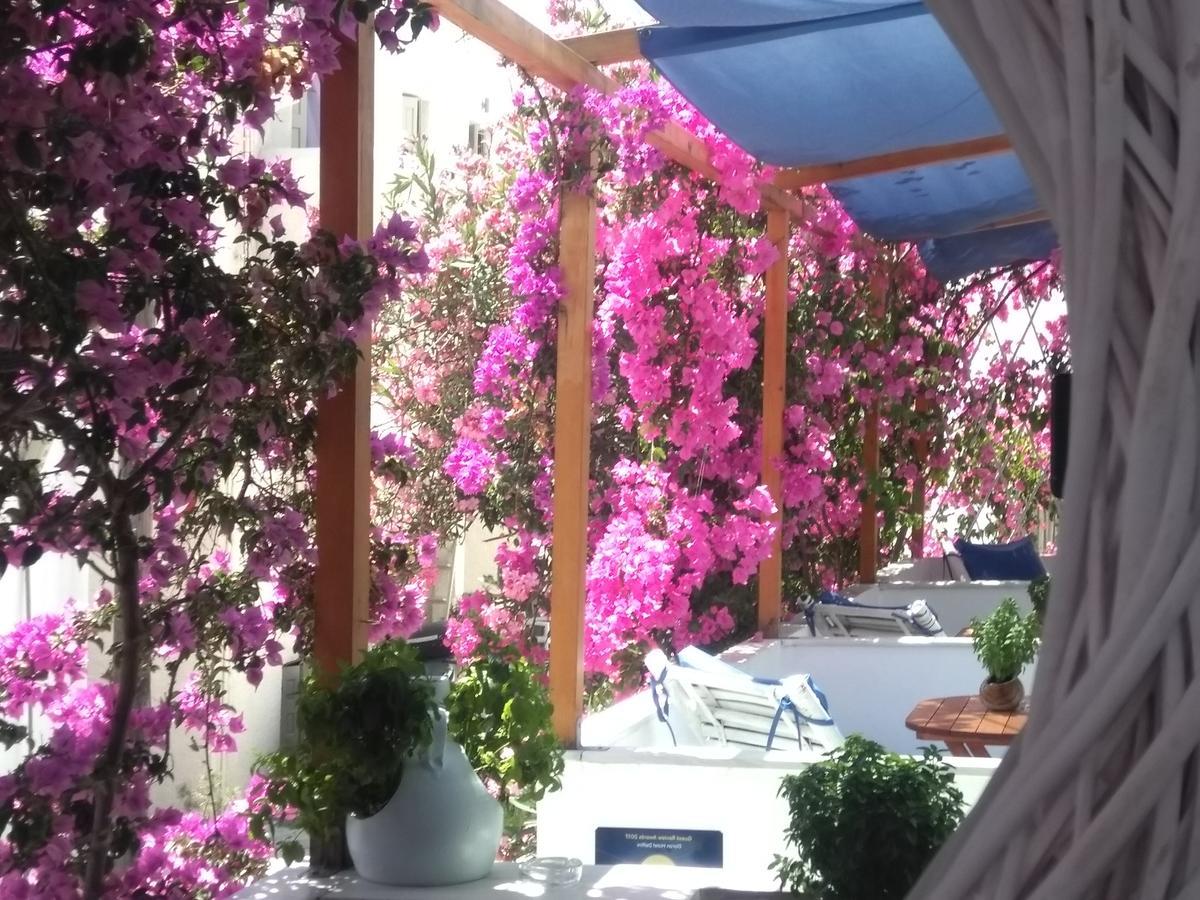 Doron Hotel Delfini Naxos City Exterior foto