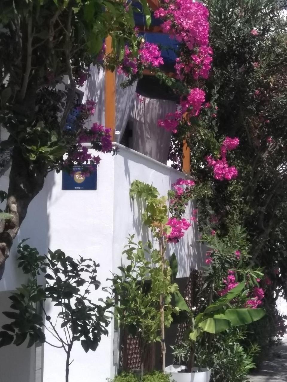 Doron Hotel Delfini Naxos City Exterior foto