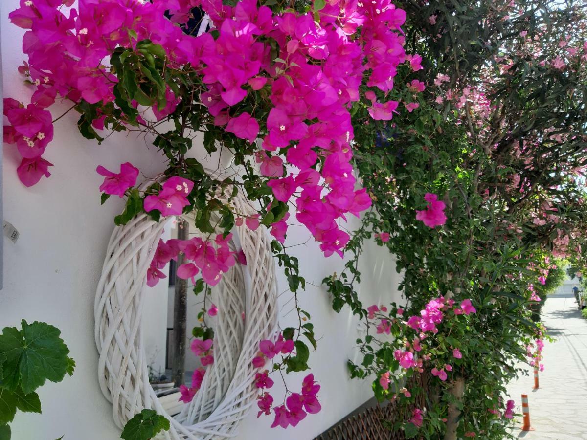Doron Hotel Delfini Naxos City Exterior foto